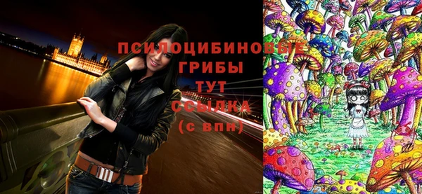 эйфоретик Михайловск