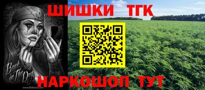 гидропоника Гусиноозёрск