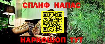 гидропоника Гусиноозёрск
