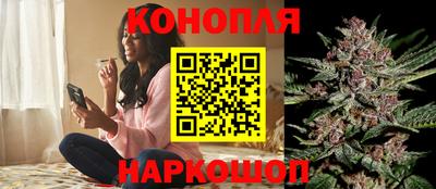 гидропоника Гусиноозёрск