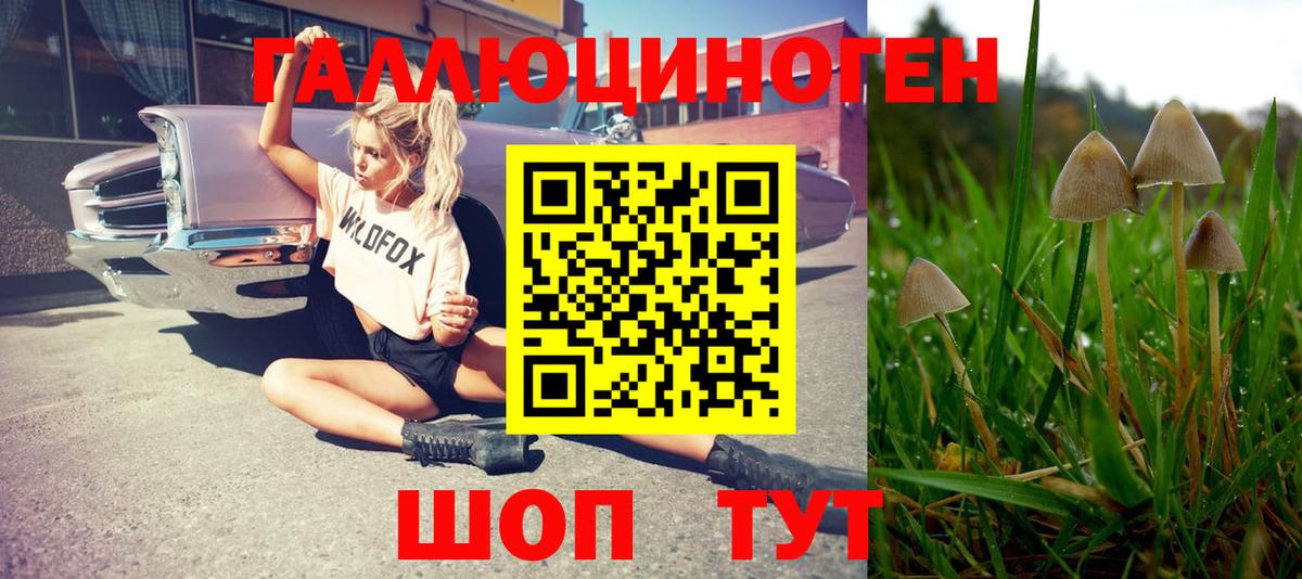 Сорочинск  Псилоцибиновые грибы ЛСД  купить наркотики цена  Вход с VPN  Галлюциногенные грибы мицелий 